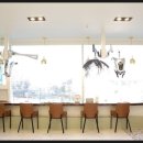 헤어제니스 이미지