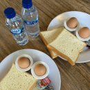 하농농장 | 발리에서 생긴일