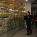 금산인삼관 이미지