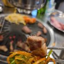 꽃돼지 | 이천 장호원 맛집 추천 천상아 꽃돼지 숯불구이 후기