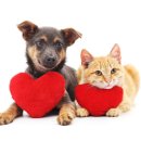 프라임시티부동산공인중개사사무소 이미지