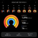 2026 Dmz 피스트레인 후기
