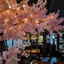 도쿠도쿠 이미지