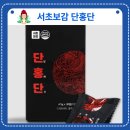 서초쇼핑 | 서초보감 단홍단 내돈내산 후기｜성분·체감·복용법 솔직 정리