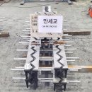비득교(하)