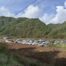 태양자동차정비 | 2025 산림청장배 영양 산악 마라톤 대회 6km 참가후기