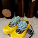 고무신농원 이미지