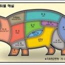고기차차