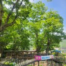 개삼터청기와카페 이미지