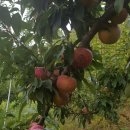 고래골농장 이미지