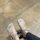 실버파이브