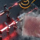 금오안경 이미지