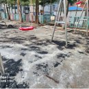하중초등학교 | 시흥시 하중초등학교 현장 후기