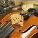 바하 | 부산- 바하악기사 비올라 업그레이드 후기