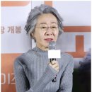 도그데이즈 이미지