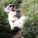 라비앙도그 이미지