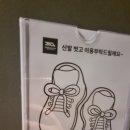 펄슨피티 이미지