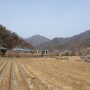 농암초등학교청화분교장 이미지