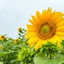 청계마을 이미지