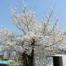 왜관중학교 이미지