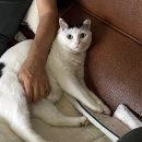 (주)이츠한남