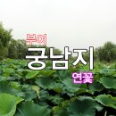 [금수강산 도보여행-8]부여궁의 부활-궁남지 이미지