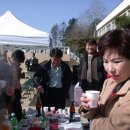 연동초교 이미지