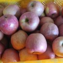 대미농장 이미지