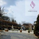 청주 장성동 레스토랑 ‘더 스프링’ 방문 후기 – 특별한 날을 위한 감성 다이닝