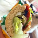 바이크애견 이미지