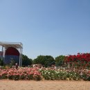 장미공원자전거대여소 이미지