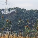 참 행정사 이미지