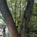 함양-3 중앙일보