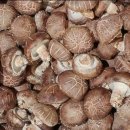 수명농장 이미지