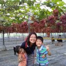 직지농장 이미지