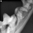 아쿠아동물병원 이미지