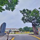 [우수학습곳간] 가을텃밭교실 | 논산 여행지 추천 은진현 관아터와 느티나무