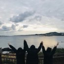 코시롱하우스 | 제주도 게스트하우스 코시롱게스트하우스 가본 솔직후기