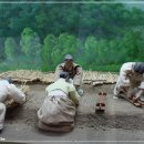 금산인삼관 이미지