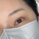 WR(부산광역시 동구)-[고관로]-하-3 | 부산 초량 인생 속눈썹펌 :: 아토뷰티