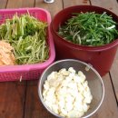 명품보쌈 이미지