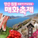 신촌농원 | 양산 원동 매화 축제 후기, 순매원, 원동 미나리 삼겹살 맛집, 원동미나리 신촌참숯갈비, 카페 무이