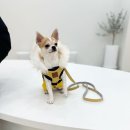 더에스동물병원 이미지