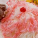 캔모아 감성 눈꽃빙수❄ 맛집 후기> 서울 광진구 구의동 동서울터미널 강변역 테크노마트 가성비맛집 눈의꽃