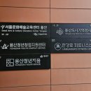 [닛커넥트] 머니다람쥐님 &#39;나만의 재테크머니볼 만들기&#39; 워크샵 후기 및 니트컴퍼니 용산점 전시 구경