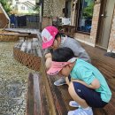 금산서울팬션민박 | 금산 텍사스민박 1박 후기 | 적벽강 앞 글램핑 감성과 텍사스 바비큐 대만족