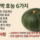 채원뷰티