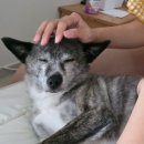 키스피씨 | 지랄을 할 거면 적당히 해야지 사람이 화나서 죽을 지경까지 지랄을 하면 그게 지랄이냐 살인이지