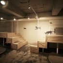 앤애견샵 이미지