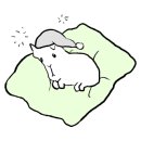 스윗버터케이크